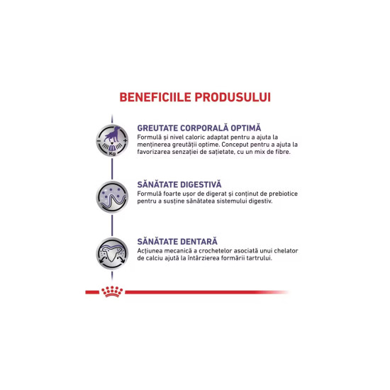 Royal Canin Neutered Adult Small Dog – hrană uscată pentru câini adulți de talie mică sterilizați, 3.5 kg